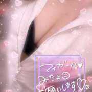 ヒメ日記 2025/04/12 09:33 投稿 きらり 横浜しこたまクリニック