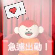 ヒメ日記 2025/05/02 09:53 投稿 きらり 横浜しこたまクリニック