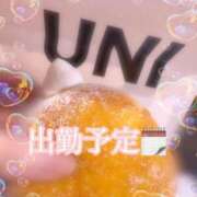 ヒメ日記 2025/11/12 11:53 投稿 きらり 横浜しこたまクリニック