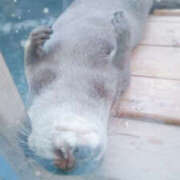 ヒメ日記 2025/04/13 04:02 投稿 広奈-ひろな【FG系列】 ほんとうの人妻 厚木店【FG系列】