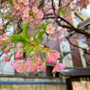 ヒメ日記 2025/03/07 17:06 投稿 はる 熟女デリヘル倶楽部