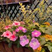 ヒメ日記 2025/10/01 10:43 投稿 はる 熟女デリヘル倶楽部