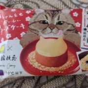 ヒメ日記 2025/04/07 20:30 投稿 このは 奥鉄オクテツ神奈川店（デリヘル市場グループ）