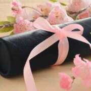 ヒメ日記 2025/03/19 08:14 投稿 あやめ 一宮稲沢小牧ちゃんこ