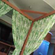 ヒメ日記 2025/03/24 22:56 投稿 あやめ 一宮稲沢小牧ちゃんこ