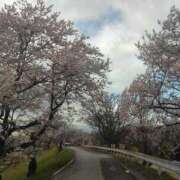 ヒメ日記 2025/04/02 23:44 投稿 あやめ 一宮稲沢小牧ちゃんこ