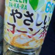 ヒメ日記 2025/04/14 18:24 投稿 あやめ 一宮稲沢小牧ちゃんこ
