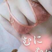 ヒメ日記 2025/05/28 07:54 投稿 あやめ 一宮稲沢小牧ちゃんこ