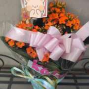 ヒメ日記 2025/05/31 18:57 投稿 あやめ 一宮稲沢小牧ちゃんこ