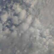 ヒメ日記 2025/06/25 18:04 投稿 あやめ 一宮稲沢小牧ちゃんこ