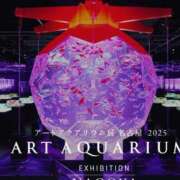 ヒメ日記 2025/07/30 10:54 投稿 あやめ 一宮稲沢小牧ちゃんこ