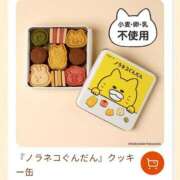 ヒメ日記 2025/08/25 05:44 投稿 あやめ 一宮稲沢小牧ちゃんこ