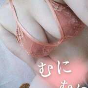 ヒメ日記 2025/08/28 17:25 投稿 あやめ 一宮稲沢小牧ちゃんこ