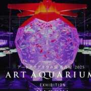 ヒメ日記 2025/09/11 09:05 投稿 あやめ 一宮稲沢小牧ちゃんこ