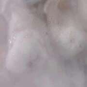 ヒメ日記 2025/09/15 09:14 投稿 あやめ 一宮稲沢小牧ちゃんこ