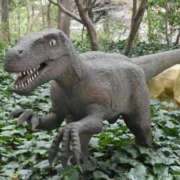 ヒメ日記 2025/12/30 02:34 投稿 あやめ 一宮稲沢小牧ちゃんこ