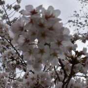 ヒメ日記 2025/12/31 20:43 投稿 あやめ 一宮稲沢小牧ちゃんこ