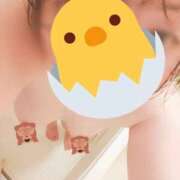 ヒメ日記 2025/12/31 21:34 投稿 あやめ 一宮稲沢小牧ちゃんこ