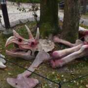 ヒメ日記 2026/01/03 17:44 投稿 あやめ 一宮稲沢小牧ちゃんこ