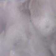 ヒメ日記 2026/02/27 19:18 投稿 あやめ 一宮稲沢小牧ちゃんこ