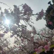 ヒメ日記 2026/03/20 14:24 投稿 あやめ 一宮稲沢小牧ちゃんこ