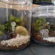 ヒメ日記 2026/03/21 18:04 投稿 あやめ 一宮稲沢小牧ちゃんこ