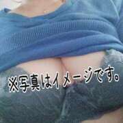 ヒメ日記 2026/03/31 16:24 投稿 あやめ 一宮稲沢小牧ちゃんこ