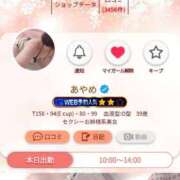 ヒメ日記 2026/04/14 07:34 投稿 あやめ 一宮稲沢小牧ちゃんこ