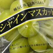 ヒメ日記 2024/10/20 11:55 投稿 もか 横浜おかあさん