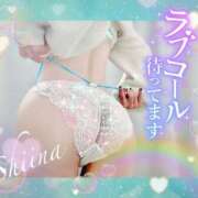 ヒメ日記 2025/04/05 07:52 投稿 椎菜（しいな） 伊勢崎回春性感SPA