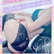 ヒメ日記 2025/06/26 07:49 投稿 椎菜（しいな） 伊勢崎回春性感SPA