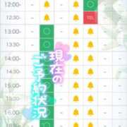 ヒメ日記 2025/08/27 21:58 投稿 椎菜（しいな） 伊勢崎回春性感SPA