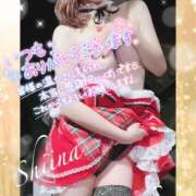 ヒメ日記 2025/12/12 15:55 投稿 椎菜（しいな） 伊勢崎回春性感SPA