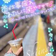 ヒメ日記 2026/03/15 11:17 投稿 椎菜（しいな） 伊勢崎回春性感SPA