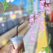 ヒメ日記 2026/03/21 11:21 投稿 椎菜（しいな） 伊勢崎回春性感SPA