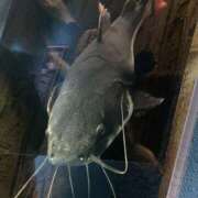 ヒメ日記 2026/03/04 10:09 投稿 そよか 野田デリヘル若妻淫乱倶楽部