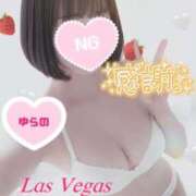 ヒメ日記 2026/01/14 15:46 投稿 ゆらの Las Vegas(新潟)