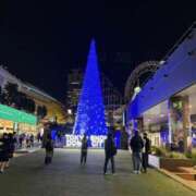 ヒメ日記 2025/12/17 10:12 投稿 三上 琴 こあくまな熟女たち三河店（KOAKUMAグループ）