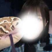 ヒメ日記 2025/01/09 20:08 投稿 マヤノ Cawaiiハイ！スクールリターンズ