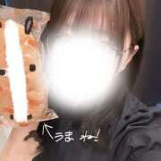 ヒメ日記 2025/03/10 23:56 投稿 マヤノ Cawaiiハイ！スクールリターンズ