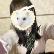 ヒメ日記 2025/04/16 23:40 投稿 マヤノ Cawaiiハイ！スクールリターンズ