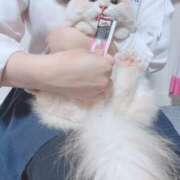 ヒメ日記 2025/08/01 16:01 投稿 マヤノ Cawaiiハイ！スクールリターンズ