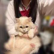 ヒメ日記 2025/11/10 20:35 投稿 マヤノ Cawaiiハイ！スクールリターンズ