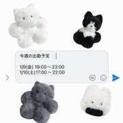 マヤノ 今週の出勤予定❕ Cawaiiハイ！スクールリターンズ