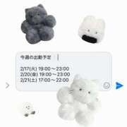 ヒメ日記 2026/02/17 21:31 投稿 マヤノ Cawaiiハイ！スクールリターンズ