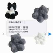 マヤノ 今週の出勤予定❕ Cawaiiハイ！スクールリターンズ