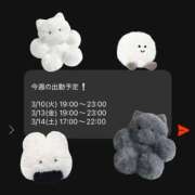 ヒメ日記 2026/03/09 21:12 投稿 マヤノ Cawaiiハイ！スクールリターンズ