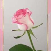 ヒメ日記 2025/08/22 23:47 投稿 みほ 佐世保人妻デリヘル「デリ夫人」