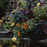 ヒメ日記 2025/08/31 21:24 投稿 みほ 佐世保人妻デリヘル「デリ夫人」