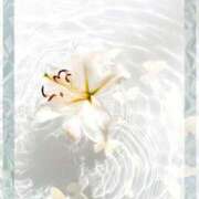 ヒメ日記 2025/09/04 23:23 投稿 みほ 佐世保人妻デリヘル「デリ夫人」